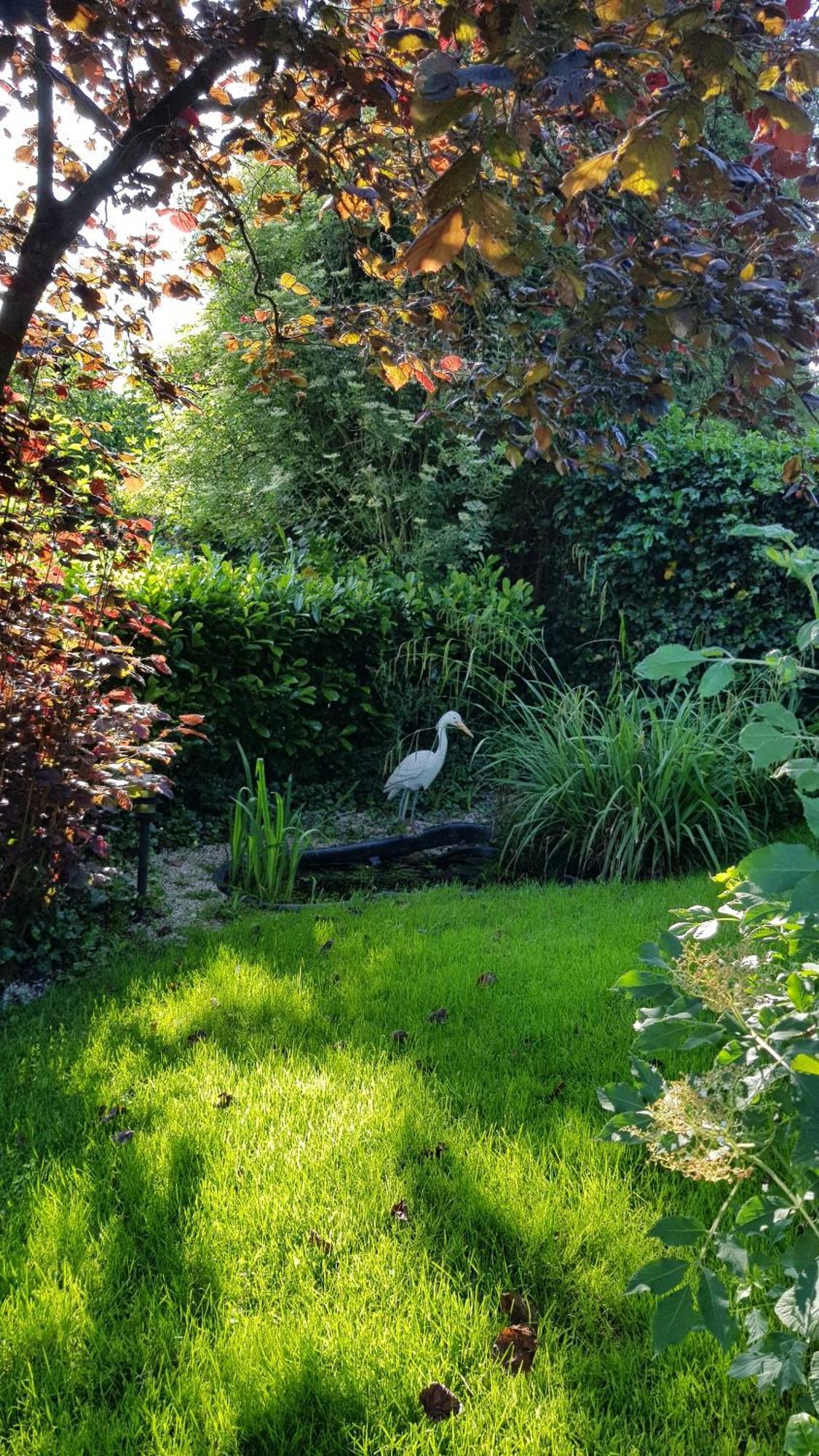 Haus Rosengarten Bad Wunnenberg Bagian luar foto