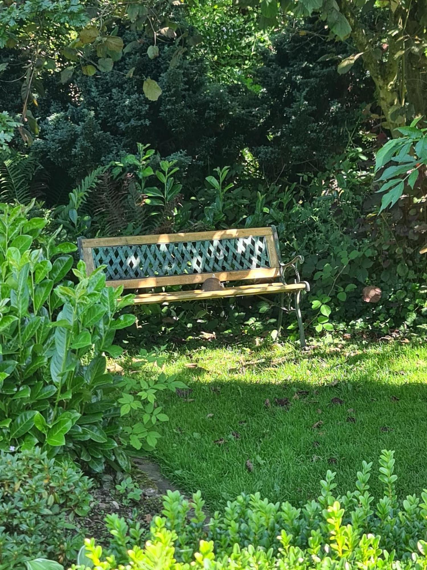 Haus Rosengarten Bad Wunnenberg Bagian luar foto